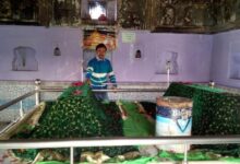 Firozabad News, फिरोजाबाद शहर About 15 km away from Hirangaon, Firozabad, on the banks of the Yamuna, is the Makvara of Sufi Shahe, where there is a fair every year and there is also Urhassa on the Sufi Shah’s mazar at the above site, there are people in the fair from the Muslim and Hindu reverence of the city.