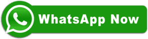 Share Firozabad City App on