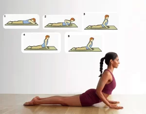 भुजंगासन (Cobra Pose) 2 Yoga भुजंगासन, जिसे कोबरा पोज़ भी कहते हैं, एक मूलभूत योग आसन है जिसमें पीठ को मोड़ने वाला व्यायाम सांप के फन उठाने की मुद्रा जैसा दिखता है। यह छाती, कंधों और पेट को फैलाता है और रीढ़ की हड्डी व नितंबों को मजबूत बनाता है। यह मुद्रा सुधारने और कमर के निचले हिस्से के तनाव को कम करने में अत्यंत लाभकारी है।